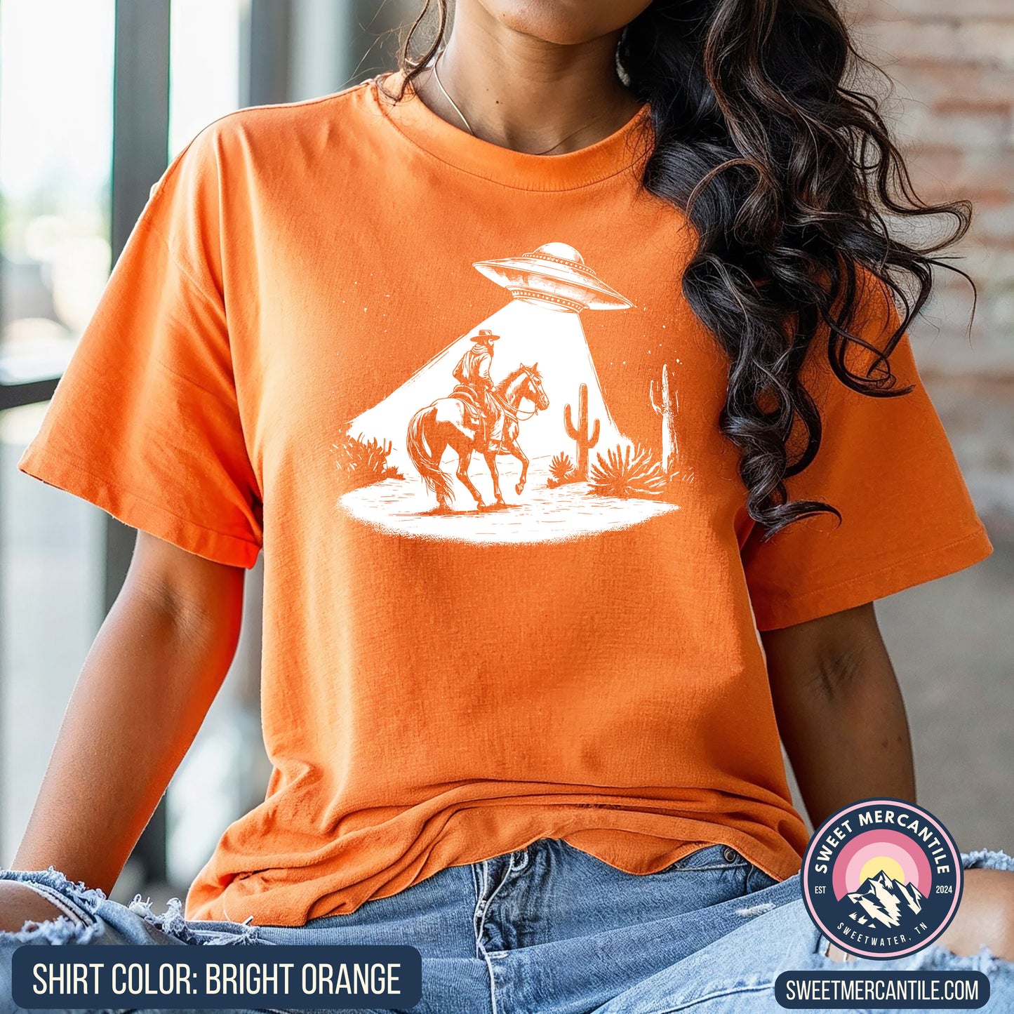 Cowboy and UFO - Comfort Colors - Short Sleeve Tee